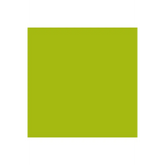 ColorWorks Premium Solid Matcha